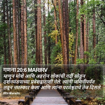 गणना 20:6 MARIRV Bible Verse Image