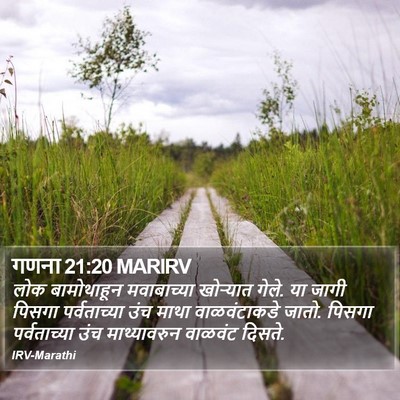 गणना 21:20 MARIRV Bible Verse Image