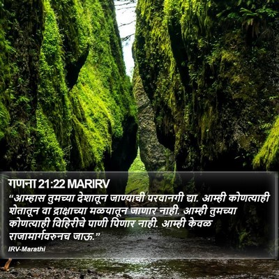गणना 21:22 MARIRV Bible Verse Image