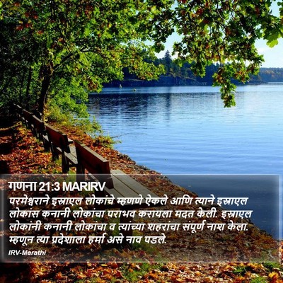 गणना 21:3 MARIRV Bible Verse Image
