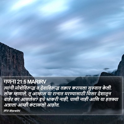 गणना 21:5 MARIRV Bible Verse Image