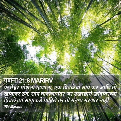 गणना 21:8 MARIRV Bible Verse Image