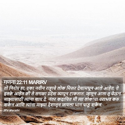 गणना 22:11 MARIRV Bible Verse Image