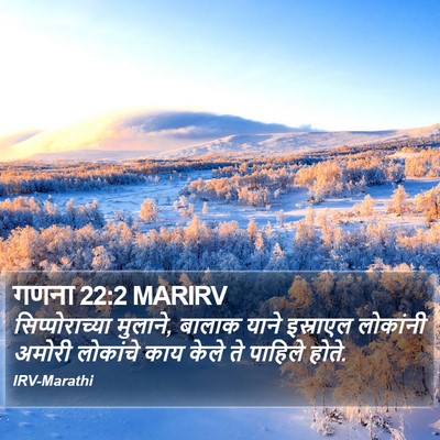 गणना 22:2 MARIRV Bible Verse Image
