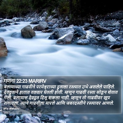 गणना 22:23 MARIRV Bible Verse Image