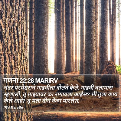 गणना 22:28 MARIRV Bible Verse Image