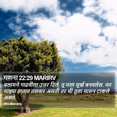 गणना 22:29 MARIRV Bible Verse Image