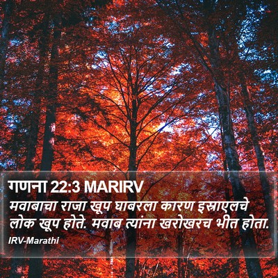 गणना 22:3 MARIRV Bible Verse Image