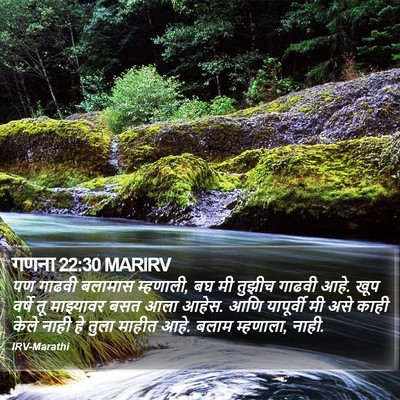 गणना 22:30 MARIRV Bible Verse Image