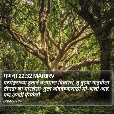 गणना 22:32 MARIRV Bible Verse Image