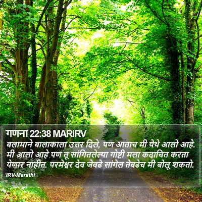 गणना 22:38 MARIRV Bible Verse Image
