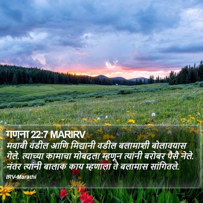 गणना 22:7 MARIRV Bible Verse Image