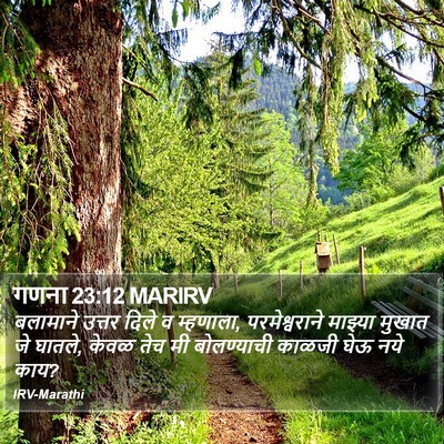 गणना 23:12 MARIRV Bible Verse Image