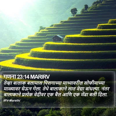 गणना 23:14 MARIRV Bible Verse Image