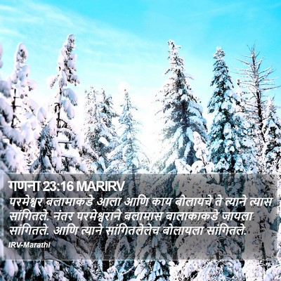 गणना 23:16 MARIRV Bible Verse Image