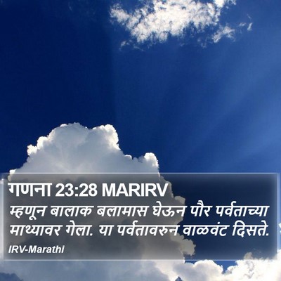 गणना 23:28 MARIRV Bible Verse Image