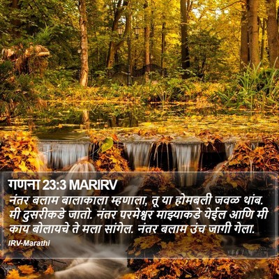 गणना 23:3 MARIRV Bible Verse Image
