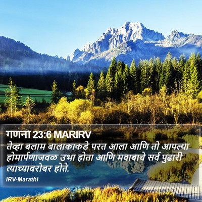 गणना 23:6 MARIRV Bible Verse Image
