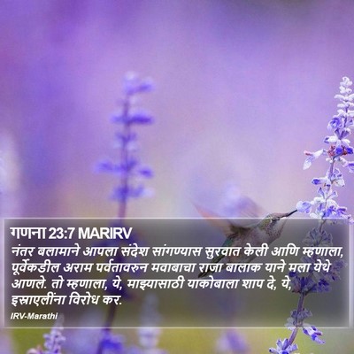 गणना 23:7 MARIRV Bible Verse Image