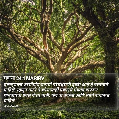गणना 24:1 MARIRV Bible Verse Image
