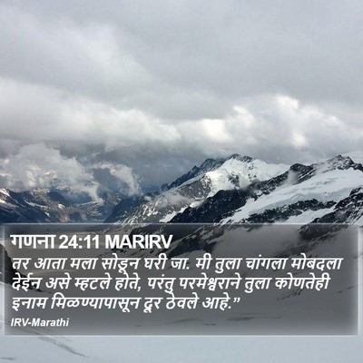गणना 24:11 MARIRV Bible Verse Image