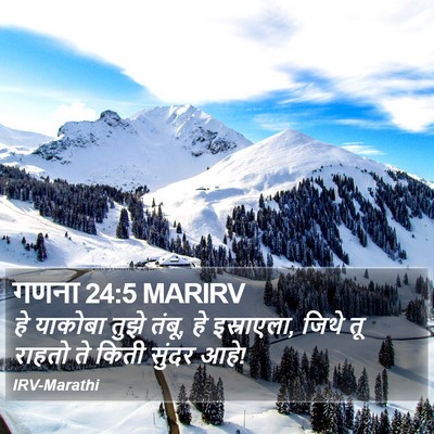 गणना 24:5 MARIRV Bible Verse Image