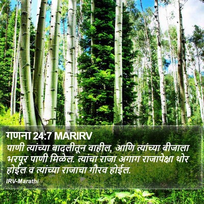 गणना 24:7 MARIRV Bible Verse Image
