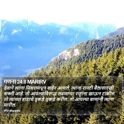 गणना 24:8 MARIRV Bible Verse Image