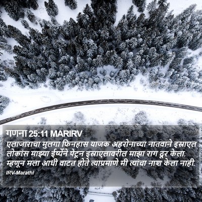 गणना 25:11 MARIRV Bible Verse Image