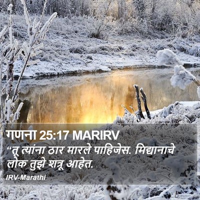गणना 25:17 MARIRV Bible Verse Image