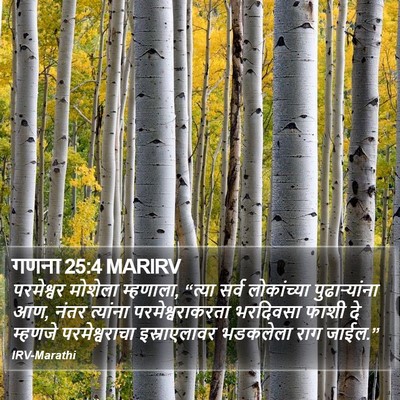 गणना 25:4 MARIRV Bible Verse Image