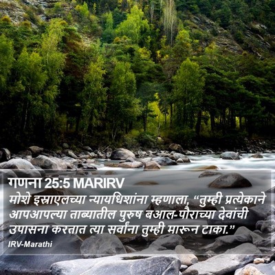 गणना 25:5 MARIRV Bible Verse Image