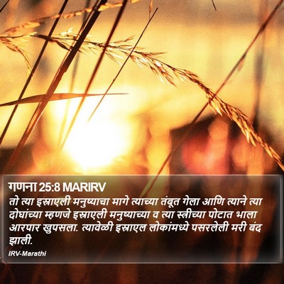गणना 25:8 MARIRV Bible Verse Image