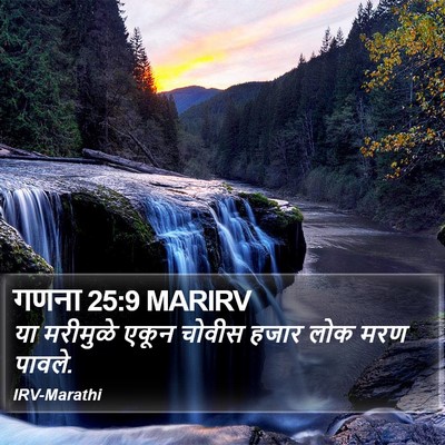 गणना 25:9 MARIRV Bible Verse Image