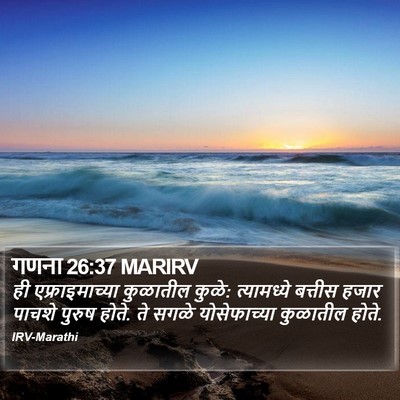 गणना 26:37 MARIRV Bible Verse Image