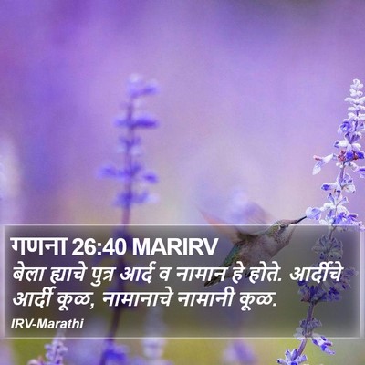 गणना 26:40 MARIRV Bible Verse Image