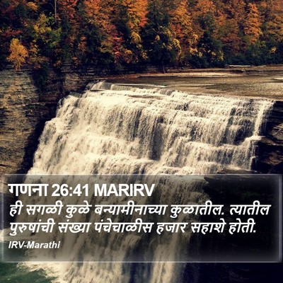 गणना 26:41 MARIRV Bible Verse Image