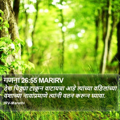 गणना 26:55 MARIRV Bible Verse Image