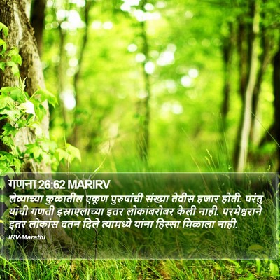 गणना 26:62 MARIRV Bible Verse Image