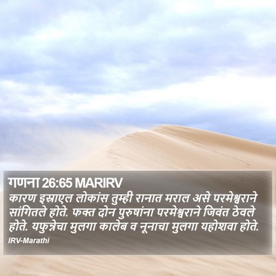 गणना 26:65 MARIRV Bible Verse Image