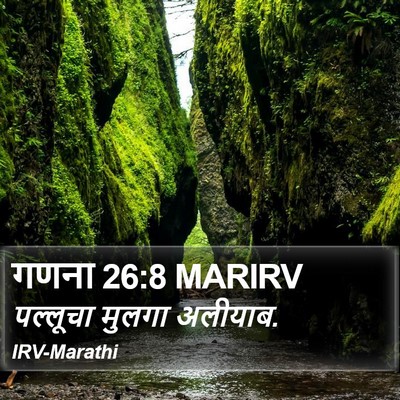 गणना 26:8 MARIRV Bible Verse Image