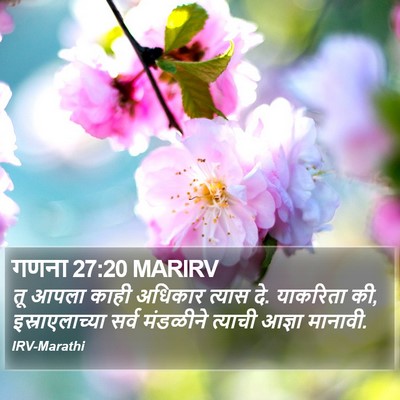 गणना 27:20 MARIRV Bible Verse Image
