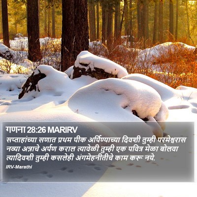 गणना 28:26 MARIRV Bible Verse Image