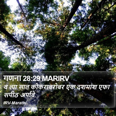गणना 28:29 MARIRV Bible Verse Image