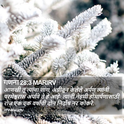 गणना 28:3 MARIRV Bible Verse Image