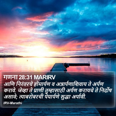 गणना 28:31 MARIRV Bible Verse Image