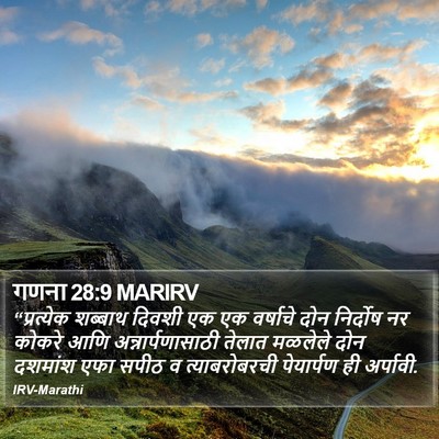 गणना 28:9 MARIRV Bible Verse Image