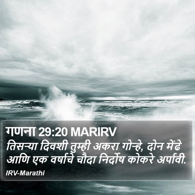 गणना 29:20 MARIRV Bible Verse Image
