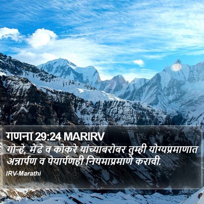गणना 29:24 MARIRV Bible Verse Image