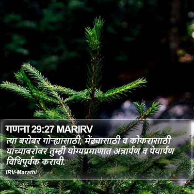 गणना 29:27 MARIRV Bible Verse Image